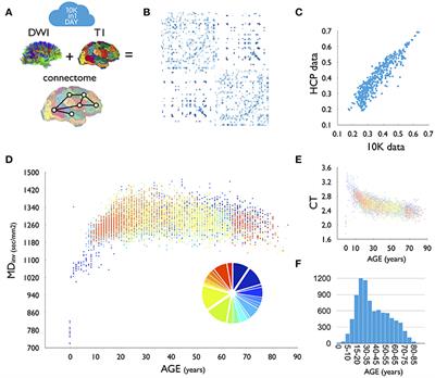 10Kin1day: A Bottom-Up Neuroimaging Initiative